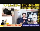 【解説】アメリカが日本の「ホワイト国」を解除の真相。ネット「虎」がしかるべき手段と宣言｜みやわきチャンネル（仮）#705Restart564