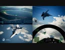 Ace Combat 7 Extra176 バトルロイヤル レンさんとのタイマン総集編