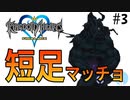 無知過ぎるキングダムハーツ#3