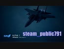 Ace Combat 7 Extra179 バトルロイヤル びる氏とのタイマン総集編