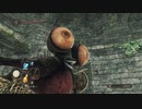 初見ダークソウル２ #23　虚ろの影の森