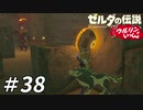 【実況】ウルリンといっしょ＃38｢ゲルドの街もイーガ団も警備がガバガバすぎる｣【BotW】