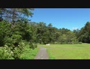 低級家具日記　2019年9月14日戸隠森林植物園1