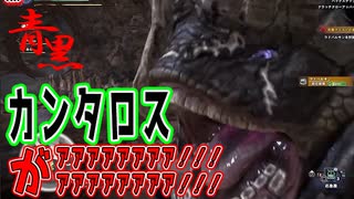 【モンハン/mhwib】２人実況プレイpart8｜ 圧倒的獄狼竜ジンオウガ亜種完全討伐物語（モンスターハンターワールドアイスボーン）