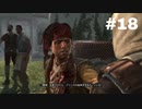 【実況】キリュウのアサシンクリード４ ブラックフラッグ part18 Assassin'sCreedⅣ BLACK FLAG