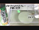 「ゴキブリ除けスプレー」で書いた円の中にゴキブリを投入したら驚きの結果になった。