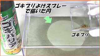 「ゴキブリ除けスプレー」で書いた円の中にゴキブリを投入したら驚きの結果になった。