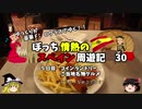 【ゆっくり】スペイン周遊記　30　コインランドリーとスペインご当地グルメ