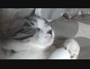 おねむな二人　＃146