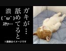 【実況】サイレントヒル ダウンプアやろうぜ！　その４２ッ！