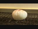 【弦巻マキ】マキマキッチン 焼き餅