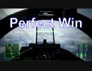 Ace Combat 7 Multiplayer607 バトルロイヤル F-15C + PLSL