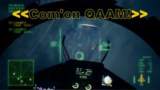 Ace Combat 7 Multiplayer608 バトルロイヤル Typhoon + HCAA