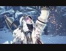 【MHW:I】遅ればせながら、アイスボーンに挑んでみた【初見】第２狩猟