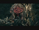 【Bloodborne実況】ヤーナムの血の夜を絶叫ハンターが「い」く part21