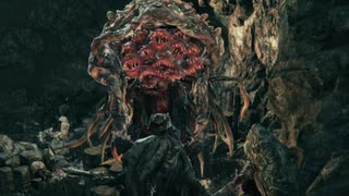 【Bloodborne実況】ヤーナムの血の夜を絶叫ハンターが「い」く part21