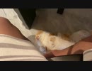早漏のま”○”お
