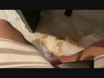 早漏のま”○”お