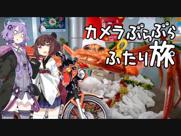 カメラぶらぶらふたり旅 part.13～福井・越前海岸と越前水仙と越前がに【結月ゆかり】【クロスカブ】