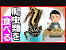 【食べる供養】爬虫類を供養する方法を調べてみた【土に埋めない方がいい⁉】