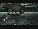 初見ダークソウル２ #28　ネズミの王の試練戦