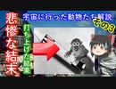 【ゆっくり解説】宇宙に行った動物たち その3　宇宙へ打ち上げられたリスザルとアカゲザルの結末とは