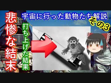 【ゆっくり解説】宇宙に行った動物たち その3　宇宙へ打ち上げられたリスザルとアカゲザルの結末とは