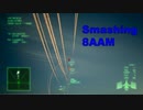 Ace Combat 7 Multiplayer611 バトルロイヤル F-14D + 8AAM