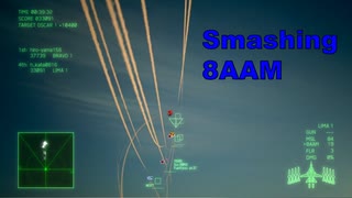 Ace Combat 7 Multiplayer611 バトルロイヤル F-14D + 8AAM