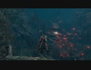 SEKIRO™： SHADOWS DIE TWICE_2020年1月26日　初期値初見　牛飲の徳次郎