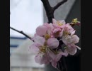 無条件の波動126