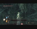 初見ダークソウル２ #32　公のフレイディア戦2