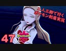 【シールド】二人三脚で行くポケモン剣盾実況プレイ【47】