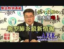 『佐々木類の日本復喝！第２回「緊急特番「新型肺炎最新情報」』佐々木類　AJER2020.1.27(7)