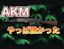 中距離もいけるAKすごい　PUBGモバイル（PUBGMobile）