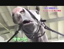 【疑似m@s】躍るGoldship