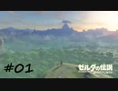 【ゼルダの伝説BotW】記憶喪失だけどちょっと世界救ってくる【実況】