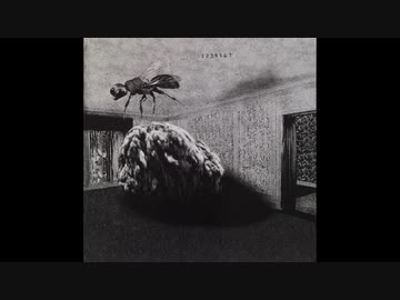 マンドレイクのライブ・フルバージョン 1978年