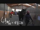 第840位：【リアルダビスタ】くぅちゃんの健康診断（競走馬のレントゲン撮影）ノーカット版