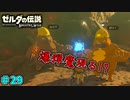 【続編決定記念】のんびりと伝説「ゼルダの伝説～ブレスオブザワイルド～」　＃29