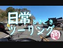 日常ときどきツーリング。【熱海梅園と来宮神社】