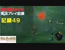 【寄り道ばかりの】ゼルダの伝説BotW【実況プレイ記録49】いざフィローネ地方