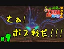 【小さな勇者の飲み実況】ゼルダの伝説 風のタクト HD part9【24歳フリーター】