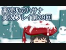 絶対弟を助けるぞ！　薬売りのハサナ実況プレイ第29回