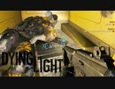 【実況】へっぽこ忍者がいく！ゾンビがはびこる都市を生き残れ！【ダイイングライト-Dying Light-】＃15