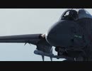 [DCS world] F-14B Short movie
