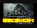 リオン総帥のゲームセンターRX　FF9を介護実況プレイ！！　　＃15　ブルメシア到着！　待ち受けていたものは・・・前編