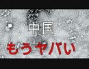 新型コロナウイルスまとめ【中国】