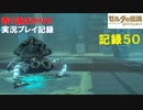 【寄り道ばかりの】ゼルダの伝説BotW【実況プレイ記録50】南の塔・南の極