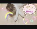 子猫とわんこの争奪戦　スプーンは誰のもの？